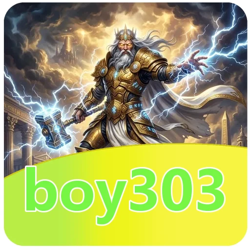 Performa boy303